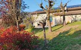 La Bottega di Torreluca